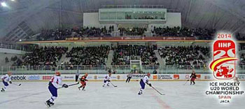 2014 IIHF Ice Hockey U20 World Championship Division II Group B Del 11 al 17 de enero de 2014